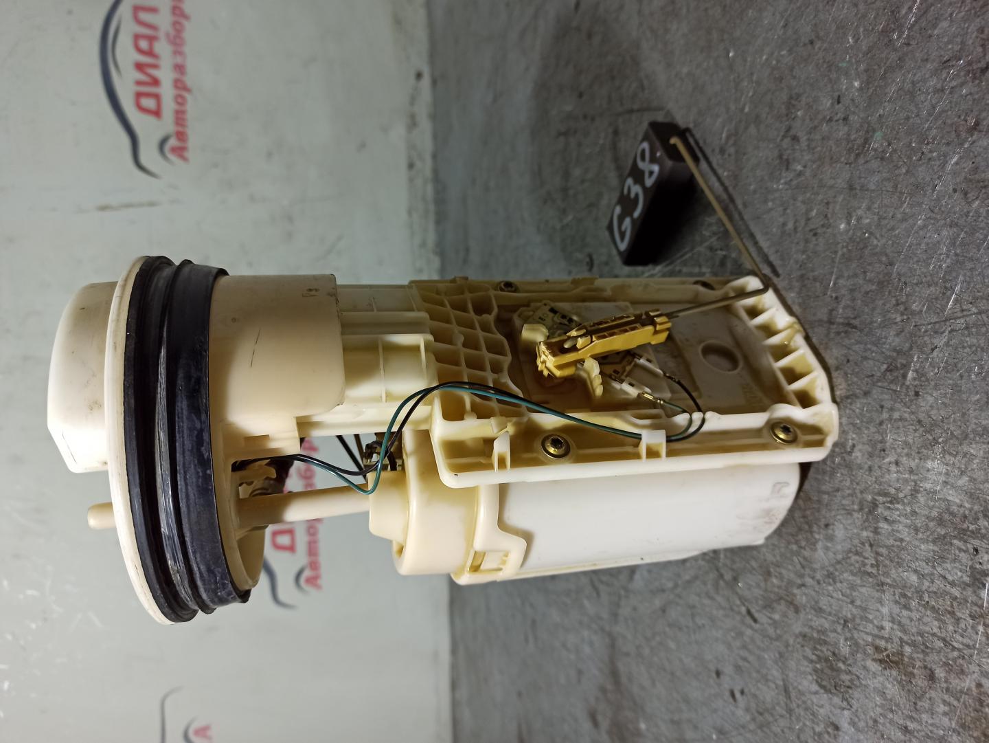 thumb