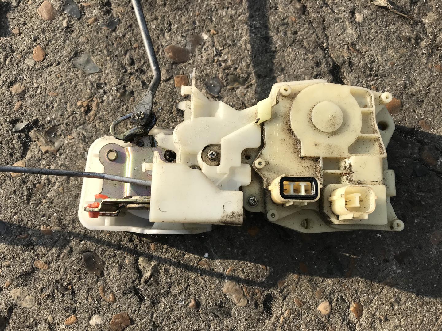 thumb